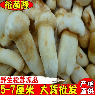 【裕菌隆】速冻松茸5-7公分酒店松茸菌云南好品质野生菌冻货批发图1