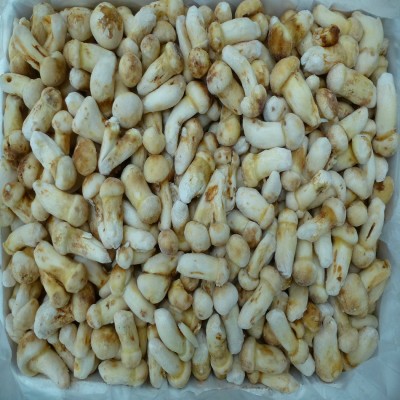 【裕菌隆】速冻松茸5-7公分酒店松茸菌云南好品质野生菌冻货批发图3