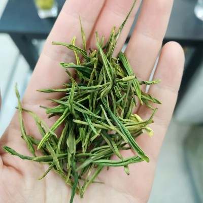 半斤装250克 正宗雨前安吉珍稀白茶春茶新茶 安吉白茶茶厂批发图4