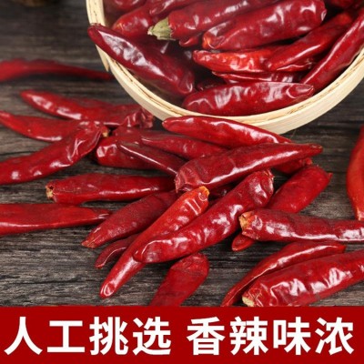 河南内黄新一代干辣椒四川火锅调味料干红海椒500g批发有八角花椒2袋图3