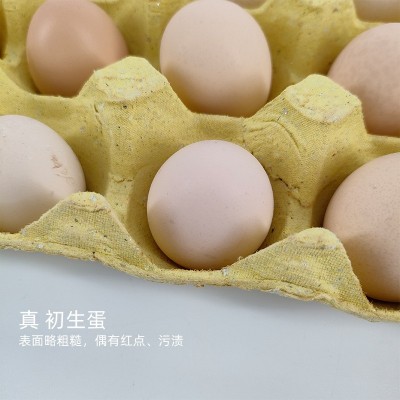 山林养殖初生鸡蛋宝宝蛋土鸡蛋月子蛋营养高农场活动直销新鲜批发图2