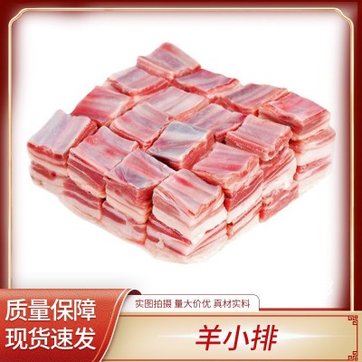 羊小排 手抓羊排 冷冻食材 不腌制 烤羊排 羊肋排半排 羊排图1
