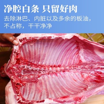 金沙滩 草原白条 新鲜原切 肉质鲜嫩 厂家直供 口感细腻图5