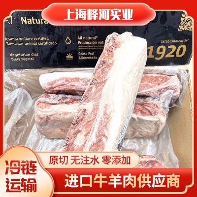 阿根廷1920厂谷饲西冷南美谷饲牛肉牛排原料批发