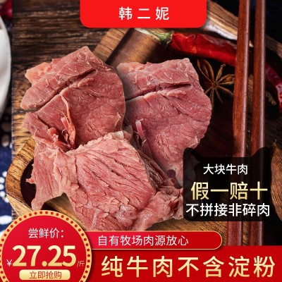 加工贴牌五香卤制牛肉口味可定制厂家直供河南特产韩二妮纯牛肉图1