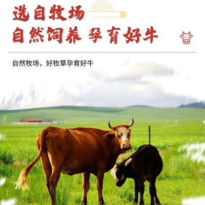 定制腊牛肉238g腊牛肉牛肉片陕西特色酒店餐饮小炒半成品食材煮制图3