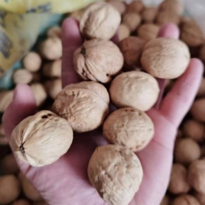 阿克苏新货薄皮核桃批发500g 代发新疆核桃手捏纸皮生核桃图4
