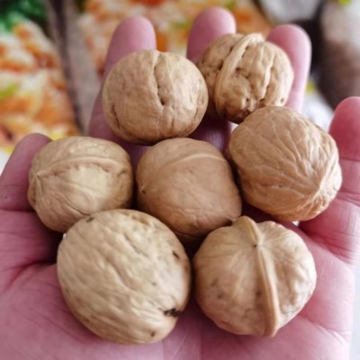 阿克苏新货薄皮核桃批发500g 代发新疆核桃手捏纸皮生核桃图3