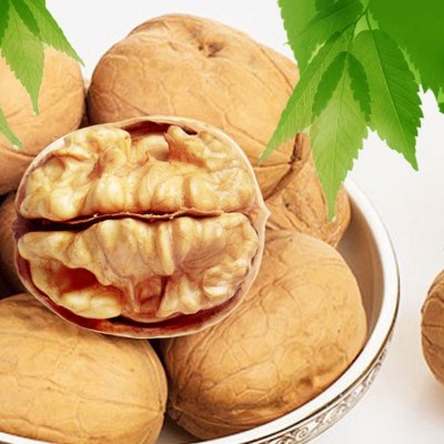 批发核桃新疆185纸皮核桃500克袋装薄皮原味干果孕妇食品 一件代发图3