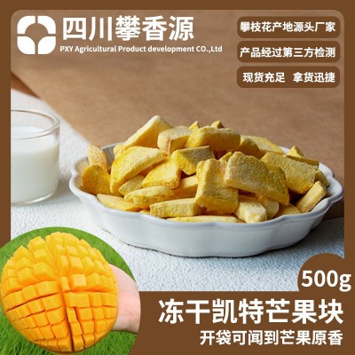 冻干水果FD冻干芒果干厂家直发雪花酥牛轧糖配料无添加儿童零食图2