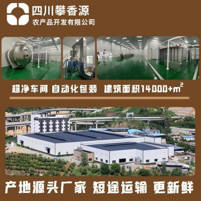 冻干水果FD冻干芒果干厂家直发雪花酥牛轧糖配料无添加儿童零食图3