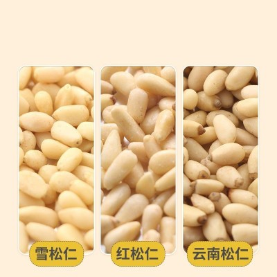 新货东北松子大颗粒原味雪松红松云南开口松子散装批发坚果松子仁图2