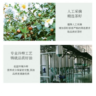 瑶记纯山茶油900ML低温压榨家用全年批发食用油植物油图4