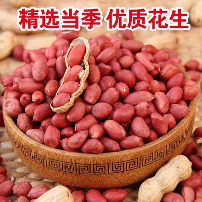 纯正花生油家用一级压榨花生油食用油厂家直供图3
