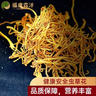 【福康霖洋】产地批发虫草花大量现货图3