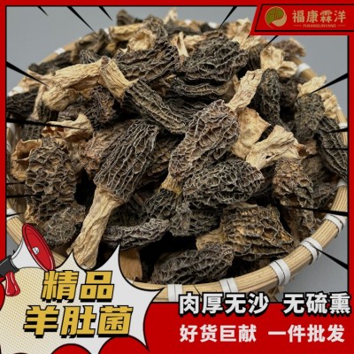【高原羊肚菌】3-5规格甘孜高原货大量现货产地批发可做供应链图2