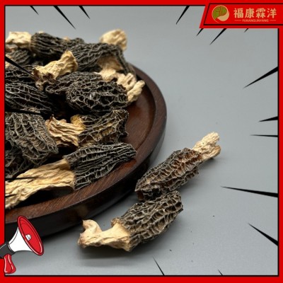 【高原羊肚菌】3-5规格甘孜高原货大量现货产地批发可做供应链图4
