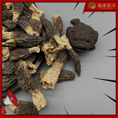 【高原羊肚菌】3-5规格甘孜高原货大量现货产地批发可做供应链图5