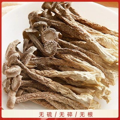 【福康霖洋】云南美味鹿茸菇新货产地直供图3