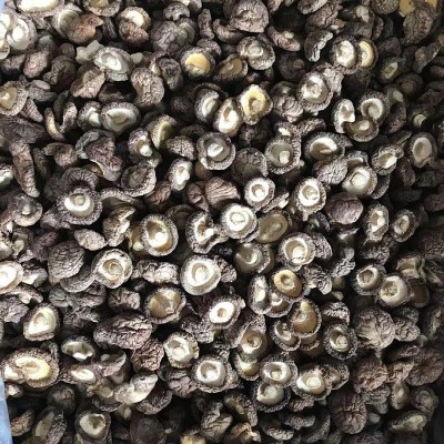 【惠农行】产地直供散装香菇干货批发黑面小香菇规格齐全剪根干净图2