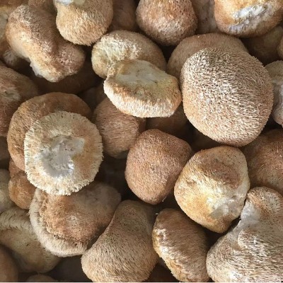 【惠农行】产地直供古田无硫新货猴头菇干货散装批发剪根干净无霉图4