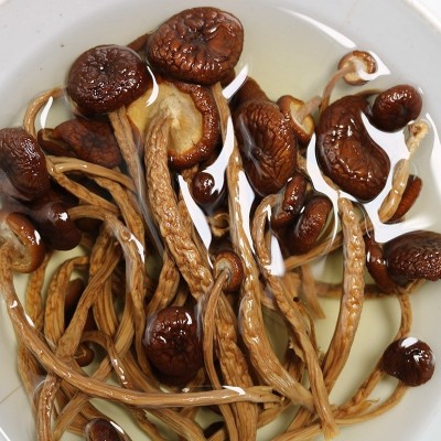 茶树菇大量批发 不开伞新鲜茶薪菇干货农家新货香菇食用菌图4