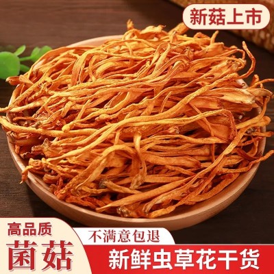 虫草花大量批发农家新鲜蛹虫草花金虫草菌菇干货北虫草花煲炖鸡汤图4