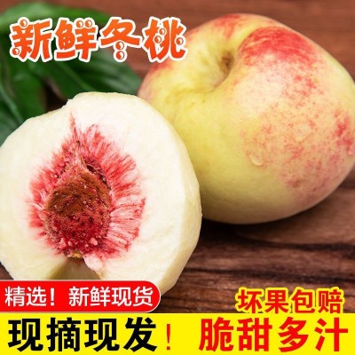 云南冬桃蜜桃桃子桃水果新鲜冬雪蜜桃青州毛桃整箱批发厂家批发图3