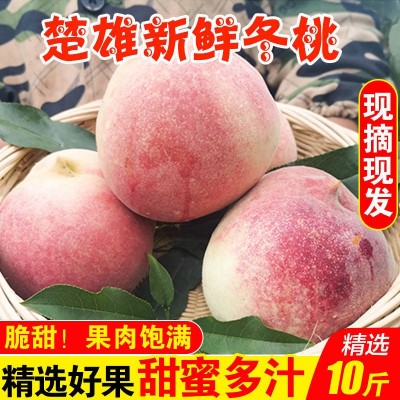 云南冬桃蜜桃桃子桃水果新鲜冬雪蜜桃青州毛桃整箱批发厂家批发图4