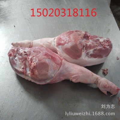 厂家批发供应猪四号肉/冷冻四号肉/猪后腿肉猪系列产品图3