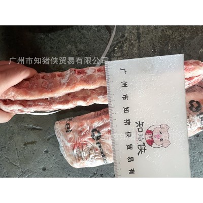 港口直销20斤装西班牙冷冻猪背排碳烤猪排骨猪肋排心冻多肉猪寸排图4