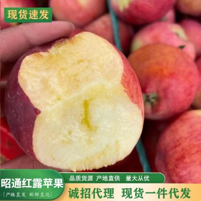 【产地直发】当季现货云南昭通冰糖心丑苹果新鲜水果整箱丑苹果图2