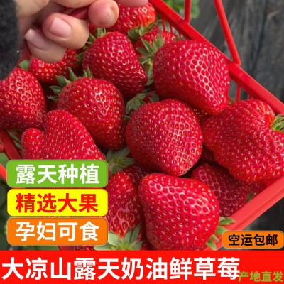 顺丰空运大凉山新鲜草莓鲜果露天红颜奶油草莓大果当季水果孕妇图2