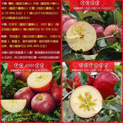 正宗云南昭通丑苹果冰糖心新鲜水果直发当季整箱包邮10斤产地批发图4