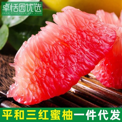 卓恬园 平和三红蜜柚 现摘现发应季新鲜水果柚子皮薄多汁三红蜜柚