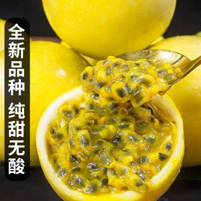 海南钦蜜9号黄金百香果代发礼盒装产地现摘现发顺丰免邮 整车代发图5