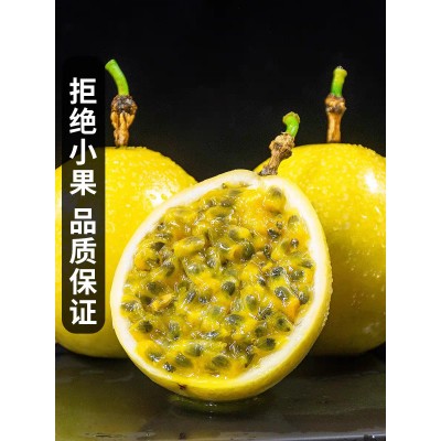 海南钦蜜9号黄金百香果代发礼盒装产地现摘现发顺丰免邮 整车代发图2