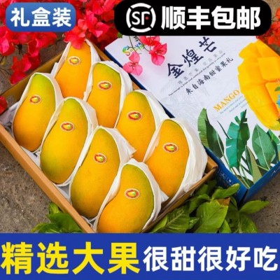 海南金煌芒 水仙芒一件代发顺丰免邮 海南芒果整车代发有自己果园图5
