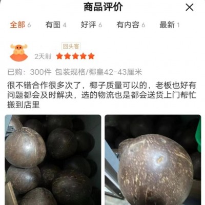 厂家直发椰皇海南椰皇抛光椰子炖盅新鲜老椰子37-42公分现货速发图2