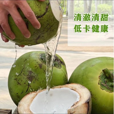 海南椰青新鲜海南椰子4-6斤椰子批发厂家现摘现发免邮 整车代发图2
