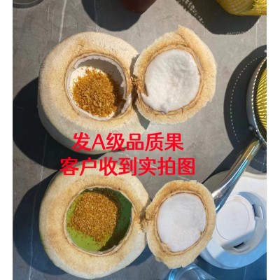 海南椰子新鲜椰青当季水果孕妇带皮青皮奶香9个装一整箱批发免邮图4
