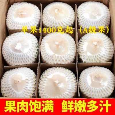 海南椰子新鲜椰青当季水果孕妇带皮青皮奶香9个装一整箱批发免邮图3