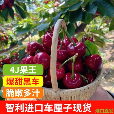 现货智利进口车厘子整箱新鲜大樱桃黑珍珠桑提娜孕妇水果顺丰空运图2