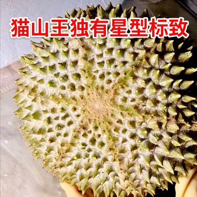 马来西亚猫山王榴莲d197整个液氮冷冻马来西亚进口新鲜水果批发图3