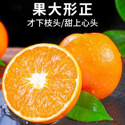 正宗赣南脐橙时令水果橙子新鲜赣南脐橙礼盒当季10斤整箱批发图3