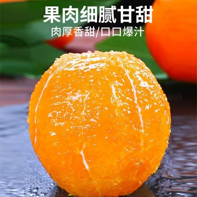 正宗赣南脐橙时令水果橙子新鲜赣南脐橙礼盒当季10斤整箱批发图2