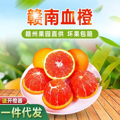 【赣州果园直供】正宗赣南血橙应季水果薄皮红心橙子10斤整箱批发图4