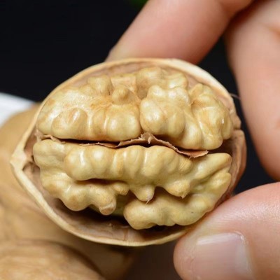 新疆185纸皮核桃批发500g 阿克苏特产核桃新货大颗手剥薄皮生核桃图3