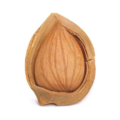 代发奶油味大杏仁开口坚果批发500g 奶香薄皮年货零食手剥大杏仁图5