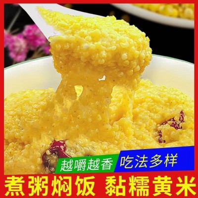 东北大黄米黏米500g*4真空包装批发散装五谷杂粮新米煮粥包子粽子图4